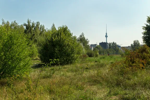 Park am Nordbahnhof